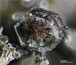 Eifel Mineralien Emmelberg Roedderit