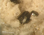 Eifel Mineralien Mendig Allanit