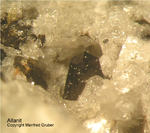 Eifel Mineralien Mendig Allanit