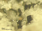 Eifel Mineralien Mendig Allanit