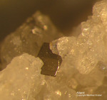 Eifel Mineralien Mendig Allanit