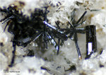 Eifel Mineralien Mendig Allanit