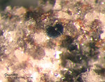 Eifel Mineralien Nickenicher Sattel Osumilith