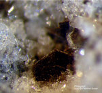 Eifel Mineralien Nickenicher Sattel Phlogopit