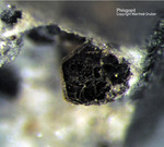 Eifel Mineralien Nickenicher Sattel Phlogopit