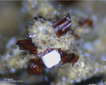 Eifel Mineralien Nickenicher Sattel Phlogopit