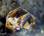 Eifel Mineralien Nickenicher Sattel Phlogopit