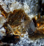 Eifel Mineralien Nickenicher Sattel Phlogopit