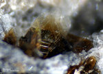 Eifel Mineralien Nickenicher Sattel Phlogopit
