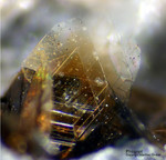 Eifel Mineralien Nickenicher Sattel Phlogopit