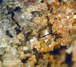 Eifel Mineralien Niveligsberg Pseudobrookit