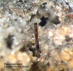Eifel Mineralien Niveligsberg Pseudobrookit