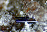 Eifel Mineralien Niveligsberg Pseudobrookit