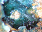 Österreich Mineralien Leogang Brochantit