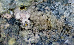 Österreich Mineralien Leogang Erythrin