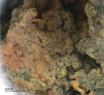 Österreich Mineralien Leogang Erythrin