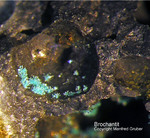 Mineralien Taunus Bad Ems Friedrichssegen Brochantit