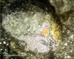 Mineralien Taunus Bad Ems Friedrichssegen Elyit