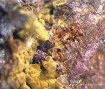 Mineralien Taunus Bad Ems Friedrichssegen Cuprit