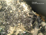 Mineralien Taunus Bad Ems Friedrichssegen Cerussit