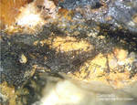 Mineralien Taunus Bad Ems Friedrichssegen Coronadit