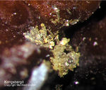 Mineralien Taunus Bad Ems Friedrichssegen Kongsbergit