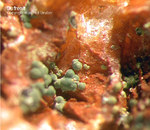 Tschechien Mineralien Teskov Dufrénit