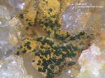 Tschechien Mineralien Teskov Dufrénit