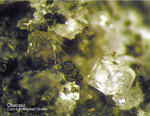 Eifel Mineralien Bellerberg Chabasit