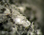 Eifel Mineralien Bellerberg Chabasit