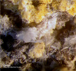 Eifel Mineralien Bellerberg Ettringit