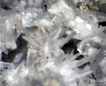 Eifel Mineralien Bellerberg Ettringit