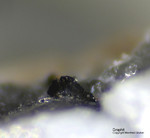 Eifel Mineralien Bellerberg Graphit