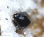 Eifel Mineralien Bellerberg Granat