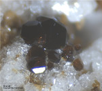 Eifel Mineralien Bellerberg Granat