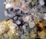 Eifel Mineralien Bellerberg Levyn