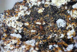 Eifel Mineralien Bellerberg Melilith