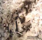 Eifel Mineralien Bellerberg Pseudobrookit
