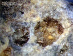 Eifel Mineralien Bellerberg Pseudobrookit
