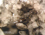 Eifel Mineralien Bellerberg Pseudobrookit