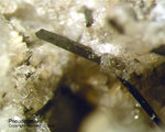 Eifel Mineralien Bellerberg Pseudobrookit