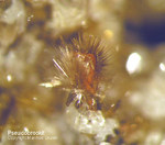 Eifel Mineralien Bellerberg Pseudobrookit