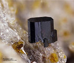 Eifel Mineralien Bellerberg Pseudobrookit