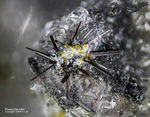 Eifel Mineralien Bellerberg Pseudobrookit