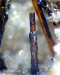 Eifel Mineralien Bellerberg Pseudobrookit