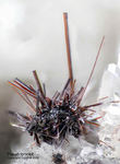 Eifel Mineralien Bellerberg Pseudobrookit