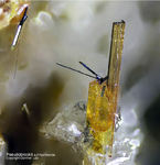 Eifel Mineralien Bellerberg Pseudobrookit