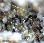 Eifel Mineralien Bellerberg Pseudobrookit