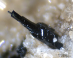 Eifel Mineralien Bellerberg Pseudobrookit