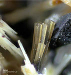 Eifel Mineralien Graulei Batisit
